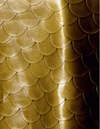 Struktur Latex Scales Gold